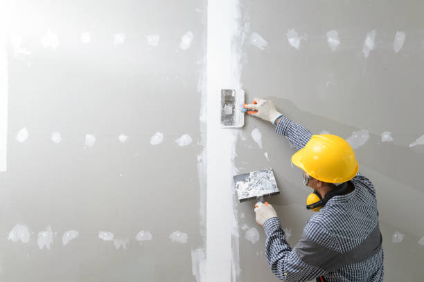 Professional Painting & Drywall Installation in Maumelle, AR